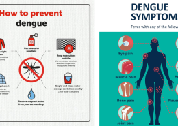 DENGUE ALERT IN MANIPUR – WHAT SHOULD WE DO?